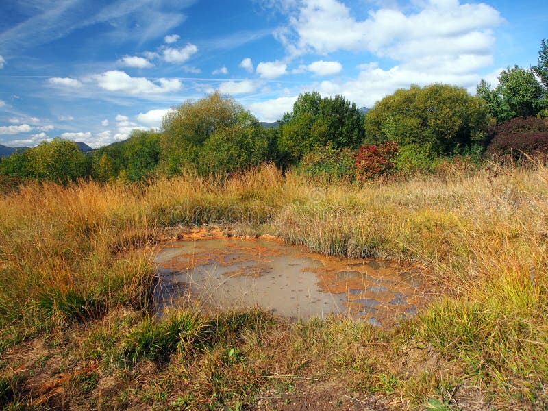 Spring at Besenova, Natural Monument, Slovakia